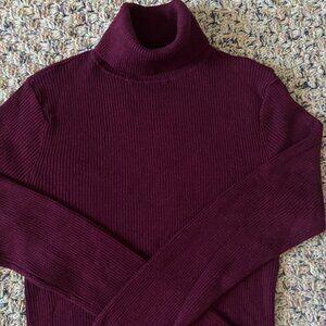 Express Size M Berry Rayon/Nylon Long Sleeve Turtleneck